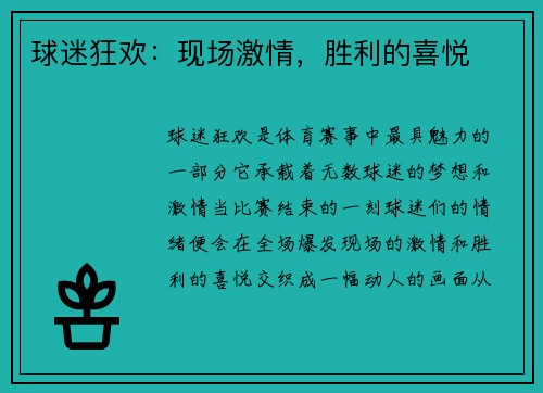 球迷狂欢：现场激情，胜利的喜悦